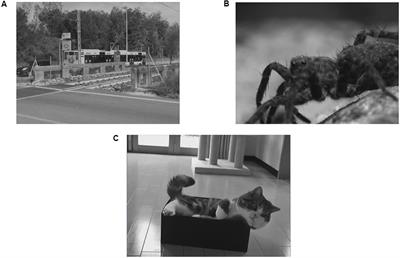 How Context Influences Our Perception of Emotional Faces: A Behavioral Study on the Kuleshov Effect